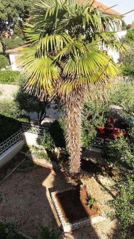 Guest Accommodation Neno Ζαντάρ Εξωτερικό φωτογραφία