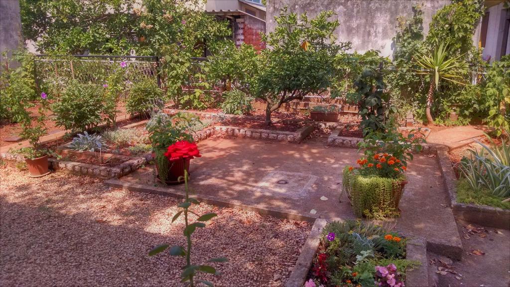 Guest Accommodation Neno Ζαντάρ Εξωτερικό φωτογραφία